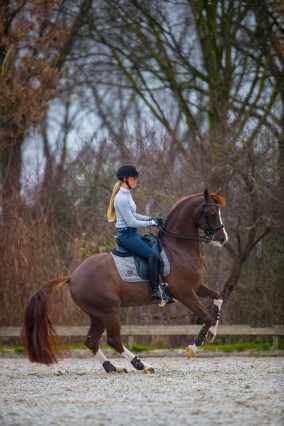 Kirsten Brouwer en Sultan over 73% in Intermediair II