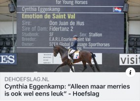 Alleen maar merries is ook wel eens leuk
