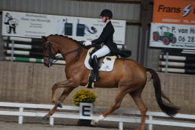 Tom wint met Skywalker junioren/young riders rubriek