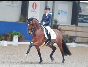 Succes volle dag voor Stal Brouwer