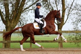 Five Star naar Olga Ozerova-Hartsock
