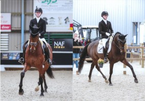 Geslaagde dag voor SB gisteren op de mooi georganiseerde jonge paarden competitie in Berlicum.