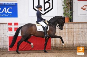 Fantastiche score voor Ichiban op de Utrechtse Kampioenschappen