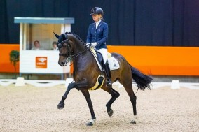 Trots op Ichiban (v. Desperado)