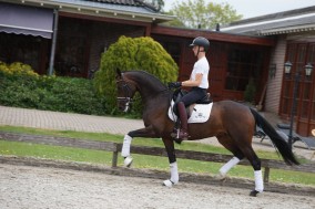 Satine des Paluds de volle zuster van Sultan des Paluds