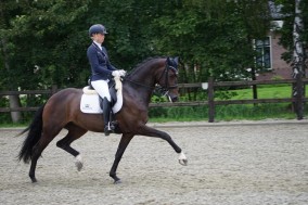 Goed debuut voor Kirsten met Ichiban in de klasse Z2