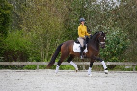 Super IBOP voor Lightning Star RR 86 punten