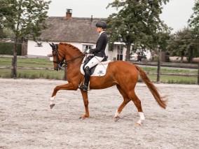 Super dag voor Team Brouwer