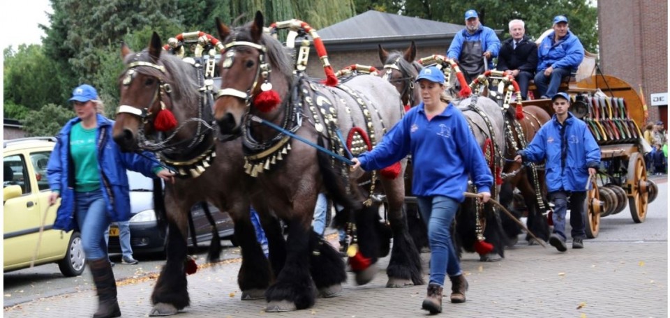 Paardenmarkt 2019