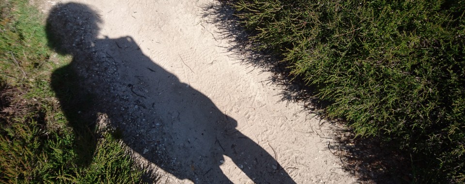 Wandelen in de natuur